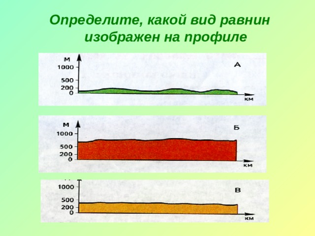 Определите, какой вид равнин изображен на профиле 
