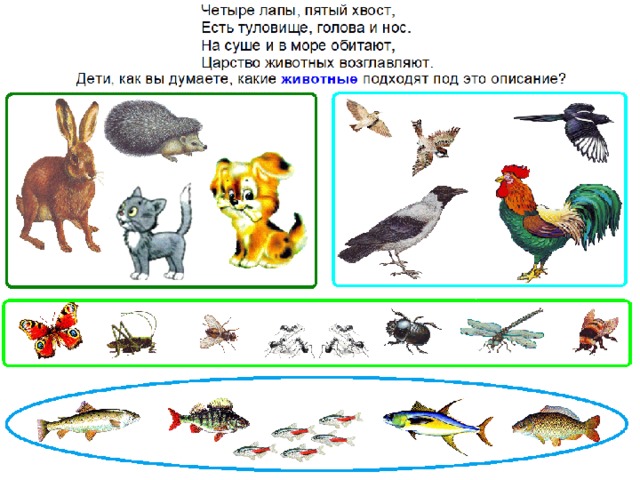 Презентация берегите животных для дошкольников