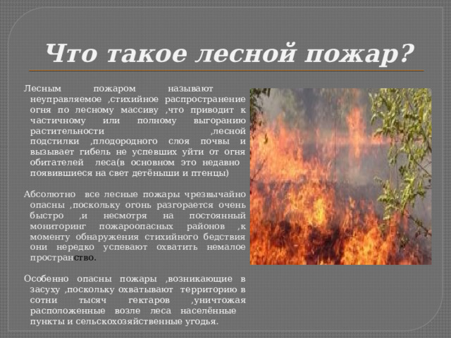 Природные пожары лесные степные торфяные. Презентация пожар в Лесном массиве. Что называют пожаром.