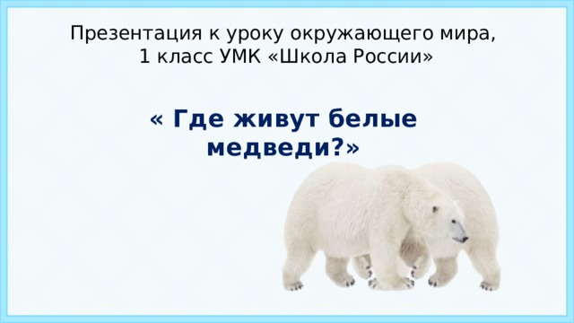 Презентация к уроку окружающего мира,  1 класс УМК «Школа России» « Где живут белые медведи?»