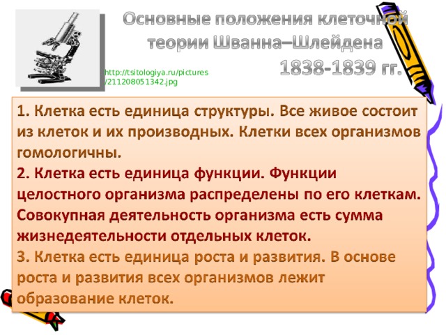 http :// tsitologiya.ru / pictures /211208051342.jpg 