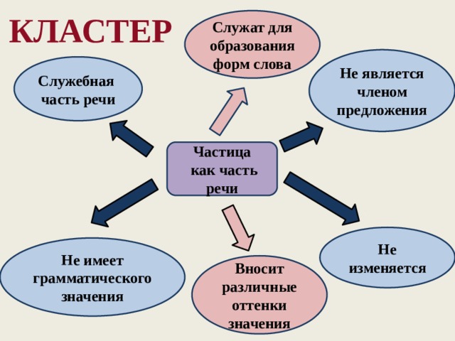 Кластер Служат для образования форм слова Не является членом предложения Служебная часть речи Частица  как часть речи Не изменяется Не имеет грамматического значения Вносит различные оттенки значения  
