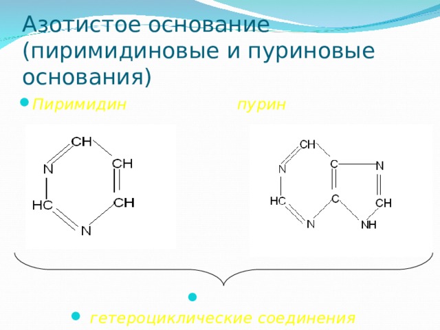 Азотистое основание  (пиримидиновые и пуриновые основания) Пиримидин  пурин          гетероциклические соединения  