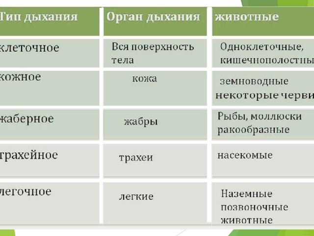 Дополнительные материалы по биологии, географии, химии.