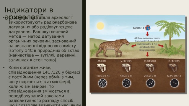 Індикатори в археології Особливо часто для археології використовують радіокарбонове датування або радіовуглецеве датування. Радіовуглецевий метод — метод датування органічних речовин, заснований на визначенні відносного вмісту ізотопу 14С в природних об’єктах (найчастіше — вугіллі, деревині, залишках кісток тощо). Коли організм живе, співвідношення 14C /12C у біомасі є постійним (через обмін з тим, що утворюється в атмосфері), коли ж він вмирає, то співвідношення змінюється в передбачуваний законами радіоактивного розпаду спосіб, що і дозволяє визначити час, який пройшов від дати смерті. 
