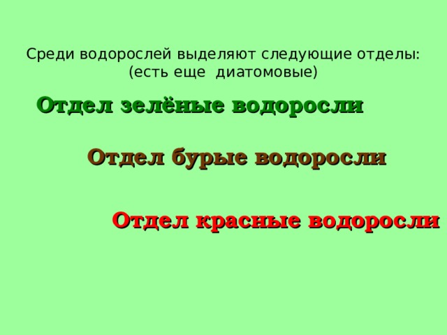 Среди водорослей выделяют следующие отделы: (есть еще диатомовые) Отдел зелёные водоросли Отдел бурые водоросли Отдел красные водоросли 