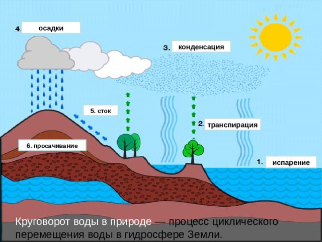 осадки конденсация 5. сток транспирация 6 . просачивание испарение  Круговорот воды в природе  — процесс циклического перемещения воды в гидросфере Земли. 