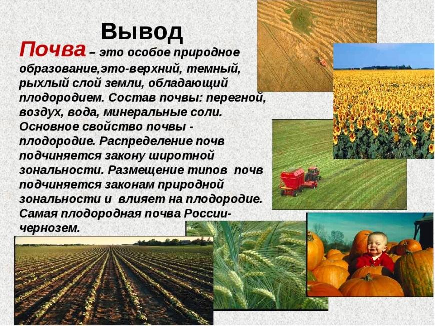 Виды природных ресурсов почвенные. Почвы России 8 класс география вывод. Типы почв вывод. Вывод на тему зональные типы почв. Почва вывод.