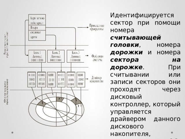 Идентифицируется сектор при помощи номера считывающей головки , номера дорожки и номера сектора на дорожке . При считывании или записи секторов они проходят через дисковый контроллер, который управляется драйвером данного дискового накопителя, входящим в ядро ОС. 