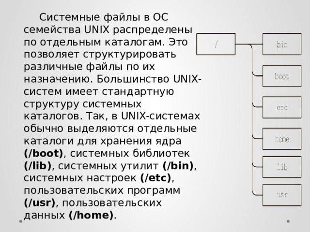  Системные файлы в ОС семейства UNIX распределены по отдельным каталогам. Это позволяет структурировать различные файлы по их назначению. Большинство UNIX-систем имеет стандартную структуру системных каталогов. Так, в UNIX-системах обычно выделяются отдельные каталоги для хранения ядра (/boot) , системных библиотек (/lib) , системных утилит (/bin) , системных настроек (/etc) , пользовательских программ (/usr) , пользовательских данных (/home) . 