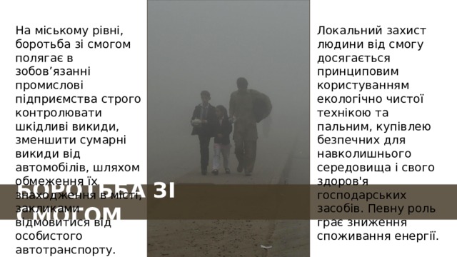 На міському рівні, боротьба зі смогом полягає в зобов’язанні промислові підприємства строго контролювати шкідливі викиди, зменшити сумарні викиди від автомобілів, шляхом обмеження їх знаходження в місті, закликами відмовитися від особистого автотранспорту. Локальний захист людини від смогу досягається принциповим користуванням екологічно чистої технікою та пальним, купівлею безпечних для навколишнього середовища і свого здоров'я господарських засобів. Певну роль грає зниження споживання енергії. БОРОТЬБА ЗІ СМОГОМ 