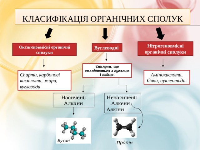  Класифікація органічних сполук Нітрогеновмісні органічні сполуки Оксигеновмісні органічні сполуки Вуглеводні Сполуки, що складаються з вуглецю і водню. Спирти, карбонові кистлоти, жири, вуглеводи Амінокислоти, білки, нуклеотиди. Насичені: Ненасичені: Алкани  Алкени Алкіни Бутан Пропін  