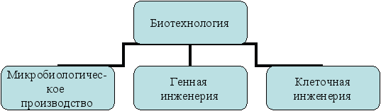 Виды равнин схема