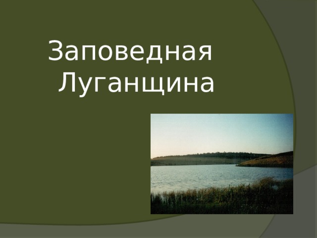 Заповедная Луганщина 