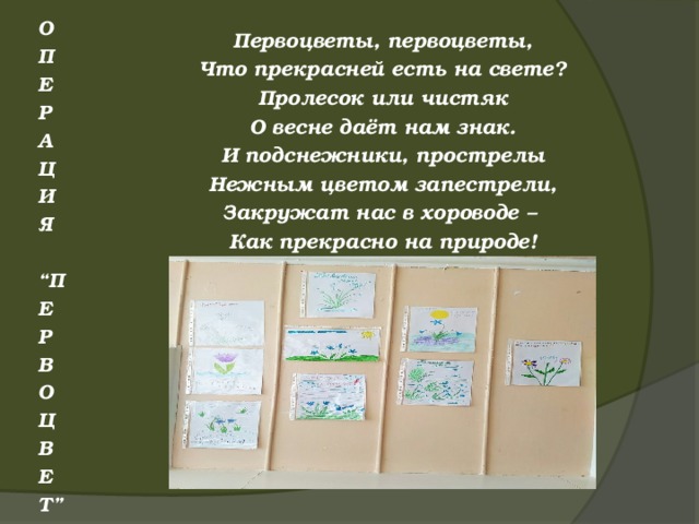 О П Е Р А Ц И Я  “ П Е Р В О Ц В Е Т” Первоцветы, первоцветы, Что прекрасней есть на свете? Пролесок или чистяк О весне даёт нам знак. И подснежники, прострелы Нежным цветом запестрели, Закружат нас в хороводе – Как прекрасно на природе! 