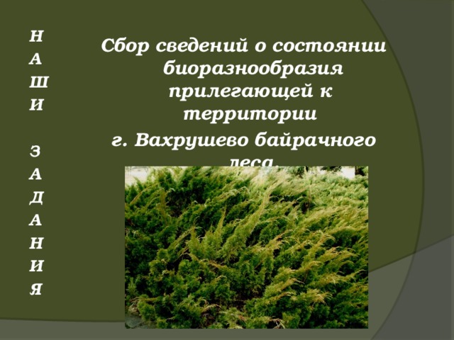 Н А Ш И  З А Д А Н И Я Сбор сведений о состоянии биоразнообразия прилегающей к территории г. Вахрушево байрачного леса.       