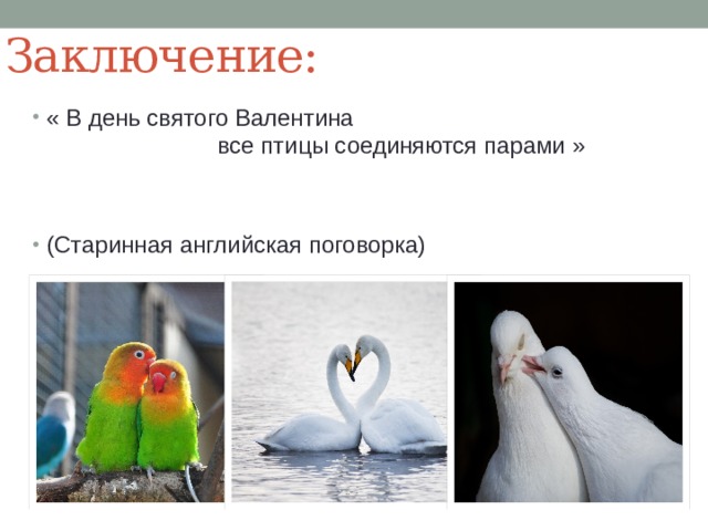 Заключение: « В день святого Валентина  все птицы соединяются парами » (Старинная английская поговорка) 