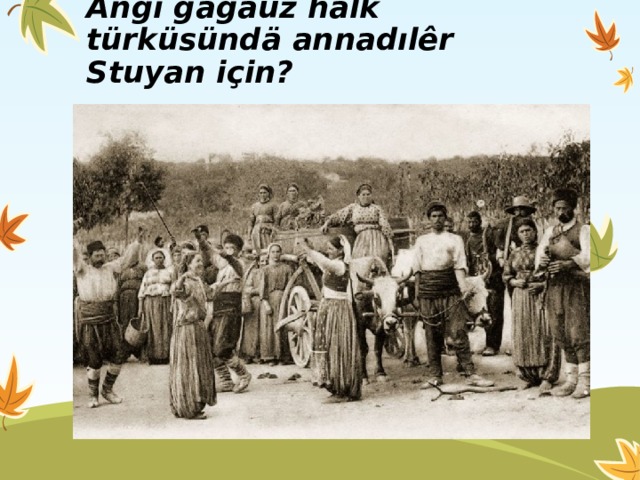 Angı gagauz halk türküsündä annadılêr Stuyan için? 