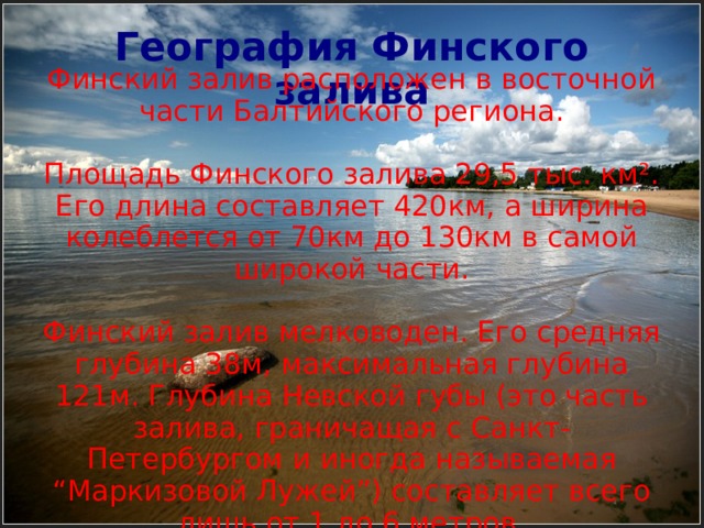 География Финского залива Финский залив расположен в восточной части Балтийского региона. Площадь Финского залива 29,5 тыс. км². Его длина составляет 420км, а ширина колеблется от 70км до 130км в самой широкой части. Финский залив мелководен. Его средняя глубина 38м, максимальная глубина 121м. Глубина Невской губы (это часть залива, граничащая с Санкт-Петербургом и иногда называемая “Маркизовой Лужей”) составляет всего лишь от 1 до 6 метров.  