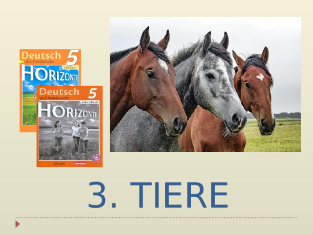 3. TIERE 