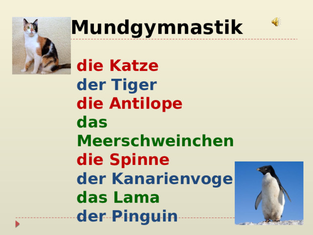 Mundgymnastik die Katze der Tiger die Antilope das Meerschweinchen die Spinne der Kanarienvogel das Lama der Pinguin 