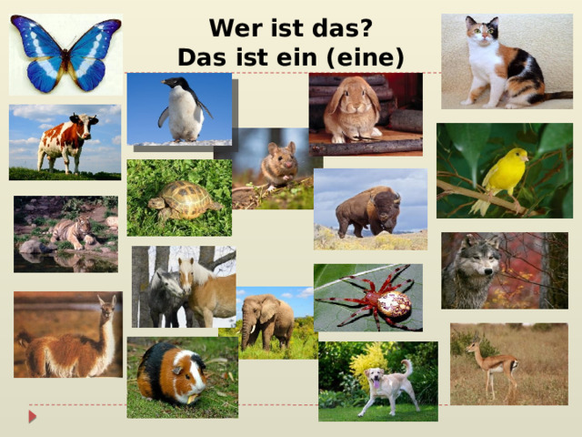 Wer ist das?  Das ist ein (eine) 