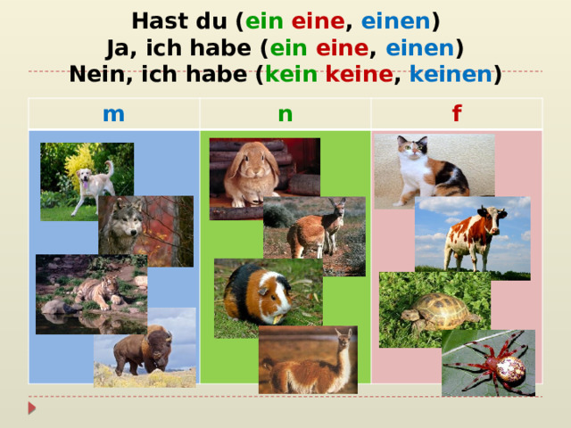 Hast du ( ein  eine , einen )  Ja, ich habe ( ein  eine , einen )  Nein, ich habe ( kein  keine , keinen ) m n f 