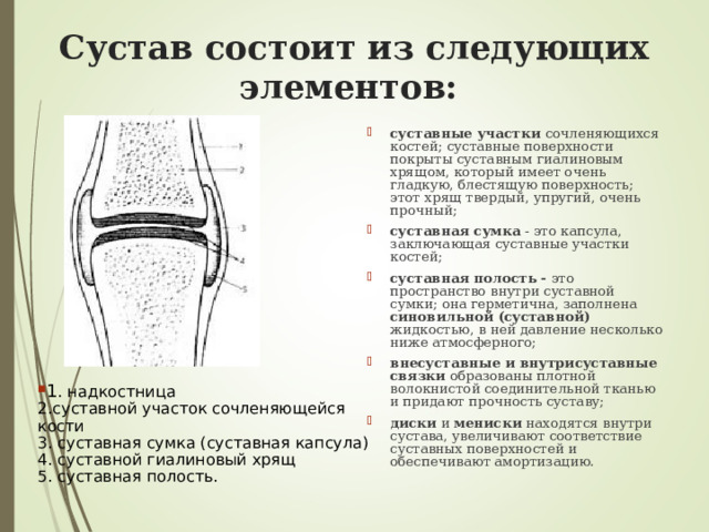 Полость сустава