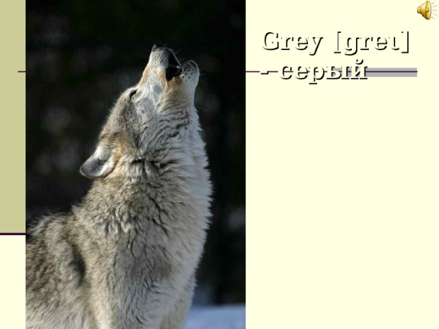 Grey [gre ι ] - серый 