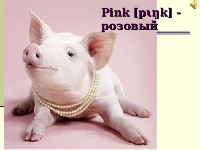 Pink [p ι ŋk] - розовый 