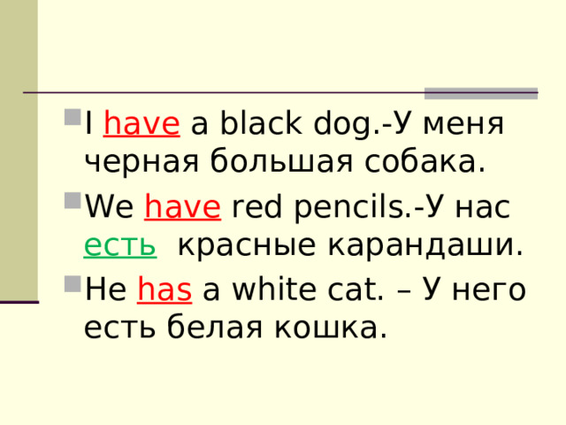 I  have a black dog.- У меня черная большая собака. We have red pencils.- У нас есть   красные карандаши. He has a white cat. – У него есть белая кошка. 