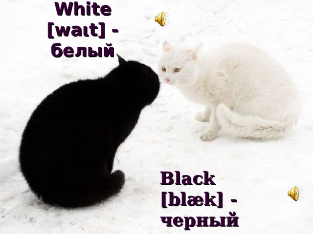 White [wa ι t] - белый Black [blæk] - черный 