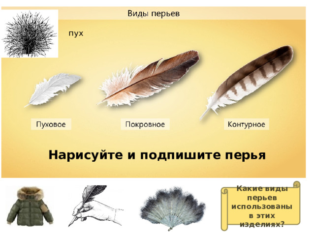 пух Нарисуйте и подпишите перья Какие виды перьев использованы в этих изделиях? 