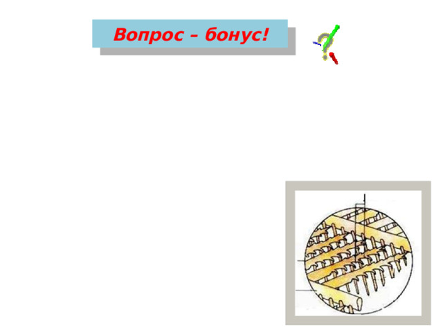 Вопрос – бонус! Попробуйте с помощью пальцев рук воспроизвести взаимодействие бородок второго порядка 