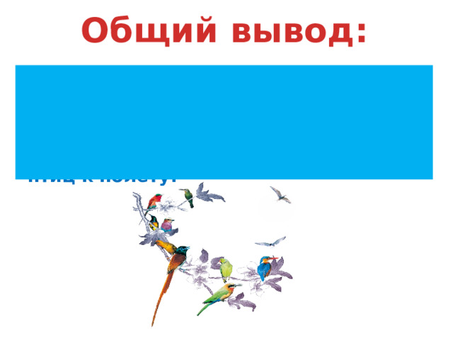 Общий вывод: Сегодня на уроке мы изучили: внешнее строение птиц; строение и виды перьев; приспособительные особенности птиц к полёту. 