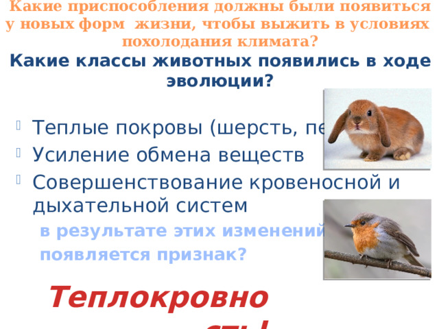 Какие приспособления должны были появиться у новых форм жизни, чтобы выжить в условиях похолодания климата? Какие классы животных появились в ходе эволюции?  Теплые покровы (шерсть, перья) Усиление обмена веществ Совершенствование кровеносной и дыхательной систем  в результате этих изменений какой  появляется признак? Теплокровность! 