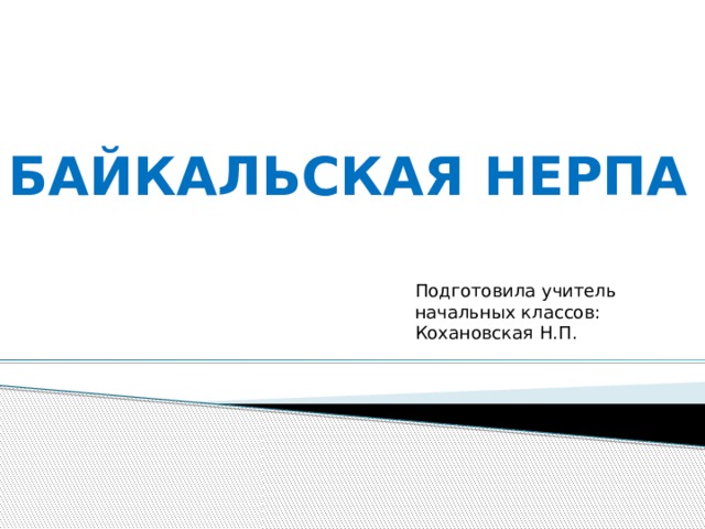 Байкальская нерпа Подготовила учитель начальных классов: Кохановская Н.П.