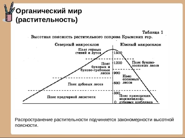 Рассмотрите схему отражающую развитие растительного мира земли