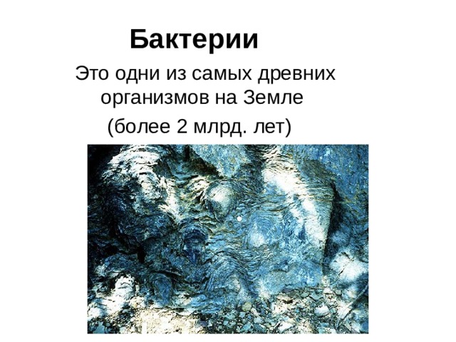 Бактерии Закончился наш разговор о растениях. Приступим к изучению представителей еще двух царств организмов, которые также изучает ботаника. На этом уроке речь пойдет о бактериях. Ты познакомишься с этими одноклеточными организмами, населяющими воздух, воду и почву, изучишь особенности их строения, размножения, а также их значение в природе и жизни человека. Ученые утверждают, что бактерии появились на Земле более 3 млрд. лет назад. Бактерии – одни из самых древних организмов на Земле. Давай возьмем микроскоп и рассмотрим бактерии. 