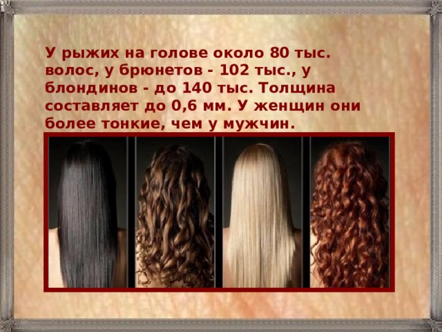 У рыжих на голове около 80 тыс. волос, у брюнетов - 102 тыс., у блондинов - до 140 тыс. Толщина составляет до 0,6 мм. У женщин они более тонкие, чем у мужчин. 