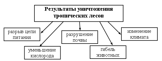 Схема показывающая последствия уничтожения одного конкретного вида растений или животных