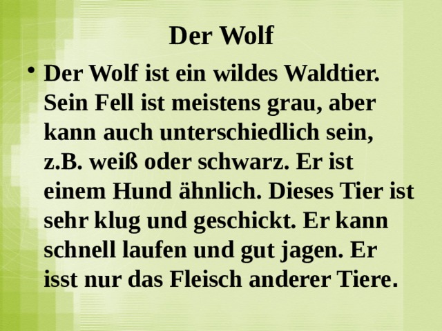 Der Wolf Der Wolf ist ein wildes Waldtier. Sein Fell ist meistens grau, aber kann auch unterschiedlich sein, z.B. weiß oder schwarz. Er ist einem Hund ähnlich. Dieses Tier ist sehr klug und geschickt. Er kann schnell laufen und gut jagen. Er isst nur das Fleisch anderer Tiere .  