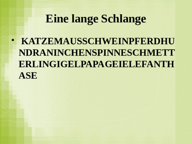 Eine lange Schlange   KATZEMAUSSCHWEINPFERDHUNDRANINCHENSPINNESCHMETTERLINGIGELPAPAGEIELEFANTHASE 