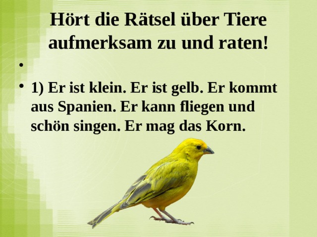 Hӧrt die Rätsel über Tiere aufmerksam zu und raten!   1) Er ist klein. Er ist gelb. Er kommt aus Spanien. Er kann fliegen und schӧn singen. Er mag das Korn.  