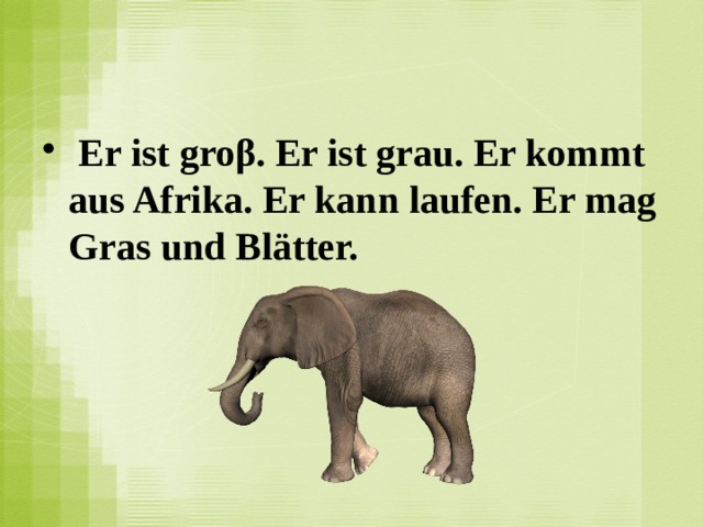  Er ist groβ. Er ist grau. Er kommt aus Afrika. Er kann laufen. Er mag Gras und Blätter.  
