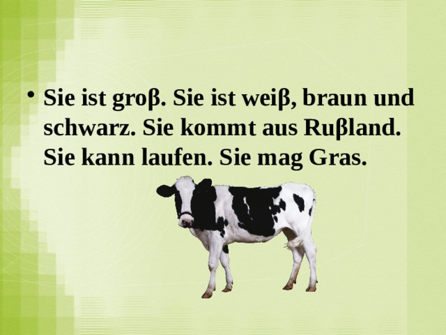 Sie ist groβ. Sie ist weiβ, braun und schwarz. Sie kommt aus Ruβland. Sie kann laufen. Sie mag Gras.  