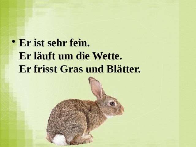 Er ist sehr fein.  Er läuft um die Wette.  Er frisst Gras und Blätter.   