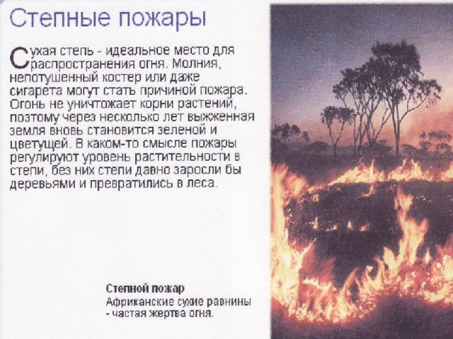 Степной пожар 3. Степные пожары презентация. Лесные и степные пожары. Степной пожар характеристика. Причины степных пожаров.