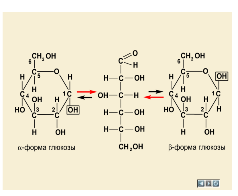 5 молекул глюкозы. Глюкоза связь химическая. Образование молекулы Глюкозы. Глюкоза гетероцикл. Глюкоза формула номенклатура.