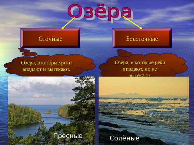 Сточные Бессточные Озёра, в которые реки впадают, но не вытекают. Озёра, в которые реки впадают и вытекают. Пресные Солёные